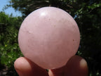 Polished Gemmy Pink Rose Quartz Spheres With Asterisms In Some  x 6 From Ambatondrazaka, Madagascar - TopRock