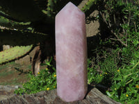 Polished Rose Quartz Crystal Points x 3 From Madagascar - TopRock