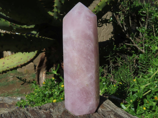 Polished Rose Quartz Crystal Points x 3 From Madagascar - TopRock