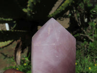 Polished Rose Quartz Crystal Points x 3 From Madagascar - TopRock