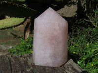 Polished Rose Quartz Crystal Points x 3 From Madagascar - TopRock
