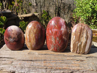 Polished Red Podocarpus Petrified Wood Standing Free Forms x 4 From Mahajanga, Madagascar - Toprock Gemstones and Minerals 