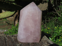Polished Rose Quartz Crystal Points x 3 From Madagascar - TopRock