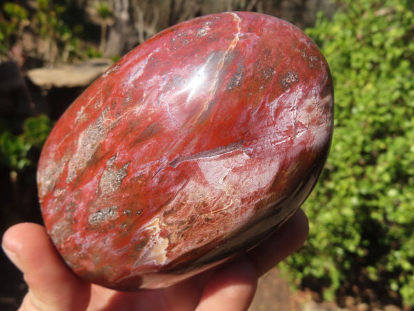 Polished Red Podocarpus Petrified Wood Standing Free Forms x 4 From Mahajanga, Madagascar - Toprock Gemstones and Minerals 