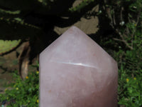 Polished Rose Quartz Crystal Points x 3 From Madagascar - TopRock