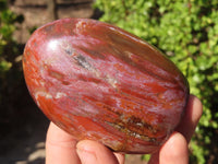 Polished Red Podocarpus Petrified Wood Standing Free Forms x 4 From Mahajanga, Madagascar - Toprock Gemstones and Minerals 