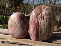 Polished Red Podocarpus Petrified Wood Standing Free Forms x 4 From Mahajanga, Madagascar - Toprock Gemstones and Minerals 