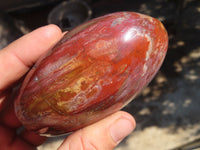 Polished Red Podocarpus Petrified Wood Standing Free Forms x 4 From Mahajanga, Madagascar - Toprock Gemstones and Minerals 