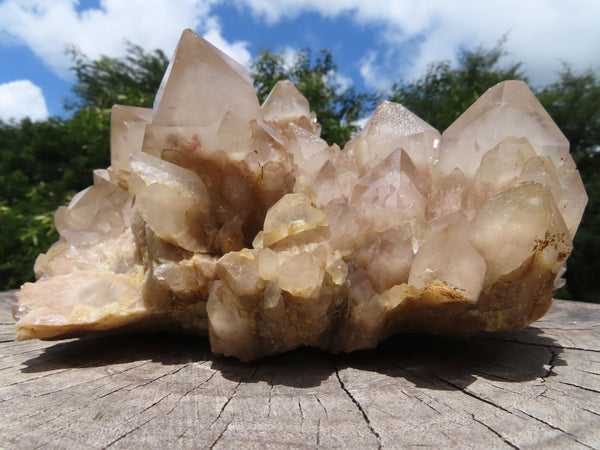 Natural White Phantom Cascading Smokey Quartz Cluster x 1 From Lwena, Congo - TopRock