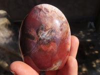 Polished Red Podocarpus Petrified Wood Standing Free Forms x 4 From Mahajanga, Madagascar - Toprock Gemstones and Minerals 