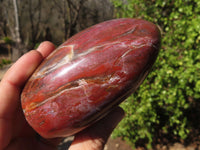 Polished Red Podocarpus Petrified Wood Standing Free Forms x 4 From Mahajanga, Madagascar - Toprock Gemstones and Minerals 
