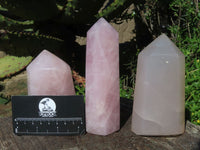 Polished Rose Quartz Crystal Points x 3 From Madagascar - TopRock