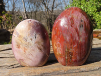 Polished Red Podocarpus Petrified Wood Standing Free Forms x 4 From Mahajanga, Madagascar - Toprock Gemstones and Minerals 