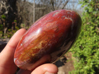 Polished Red Podocarpus Petrified Wood Standing Free Forms x 4 From Mahajanga, Madagascar - Toprock Gemstones and Minerals 