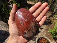 Polished Red Podocarpus Petrified Wood Standing Free Forms x 4 From Mahajanga, Madagascar - Toprock Gemstones and Minerals 