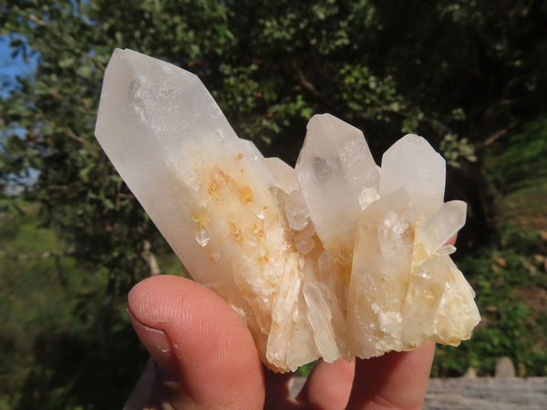 Natural Mixed Quartz Crystals With Large Crystals  x 12 From Madagascar - TopRock