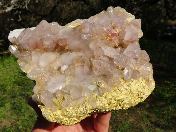 Natural Hematoid Floater Quartz Crystal Cluster x 1 From Karoi, Zimbabwe - TopRock