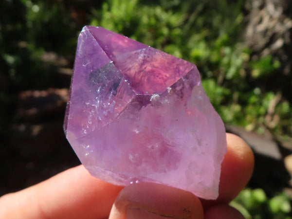 Natural Single Jacaranda Amethyst Crystals  x 35 From Mumbwa, Zambia - Toprock Gemstones and Minerals 