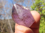 Natural Window Amethyst Crystals  x 20 From Chiredzi, Zimbabwe - Toprock Gemstones and Minerals 
