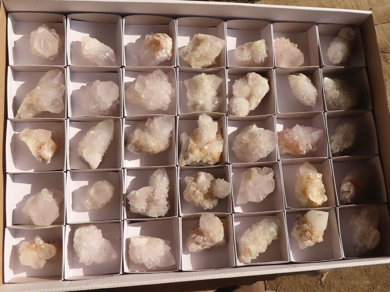 Natural White Cactus Flower Spirit Quartz Specimens x 35 From Boekenhouthoek, South Africa - Toprock Gemstones and Minerals 