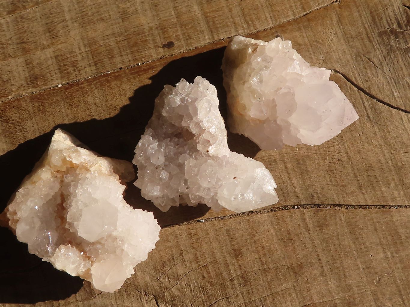 Natural White Cactus Flower Spirit Quartz Specimens x 35 From Boekenhouthoek, South Africa - Toprock Gemstones and Minerals 