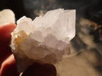 Natural White Cactus Flower Spirit Quartz Specimens x 35 From Boekenhouthoek, South Africa - Toprock Gemstones and Minerals 
