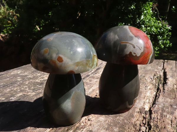 Polished Polychrome / Picasso Jasper Mushrooms  x 2 From Madagascar - TopRock