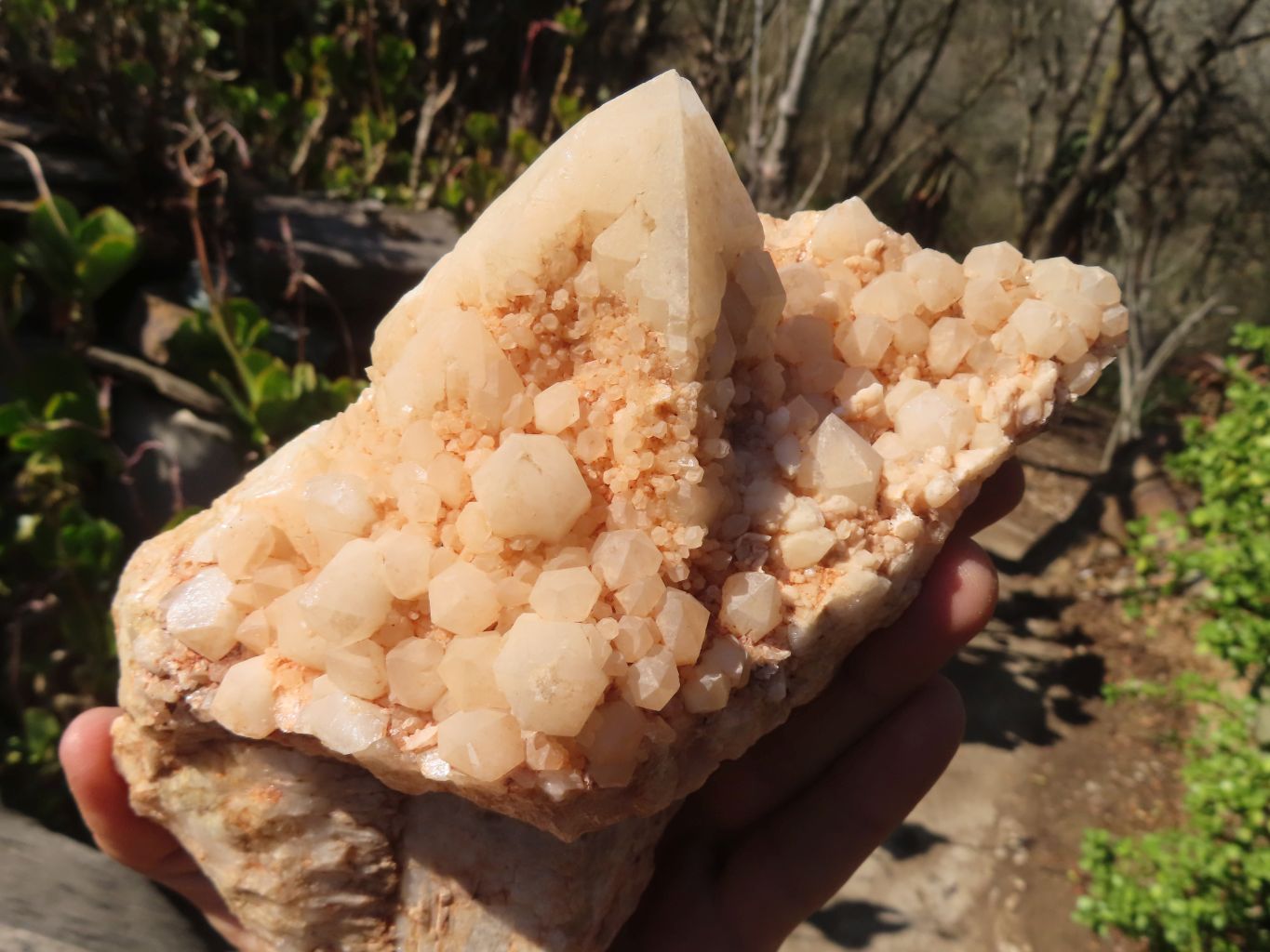 Natural Large Cascading Candle Quartz Specimens  x 2 From Madagascar - Toprock Gemstones and Minerals 