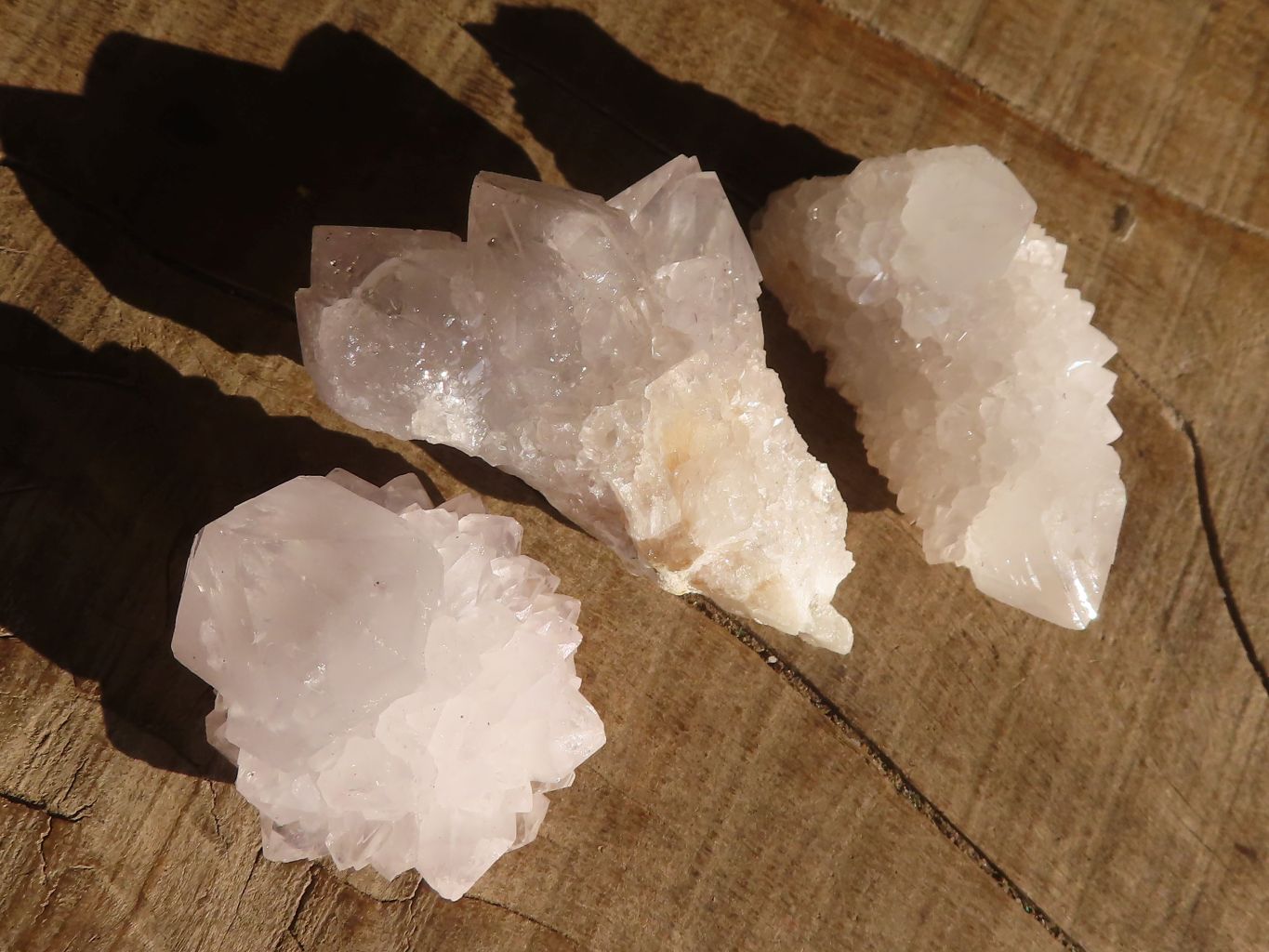 Natural White Cactus Flower Spirit Quartz Specimens x 35 From Boekenhouthoek, South Africa - Toprock Gemstones and Minerals 