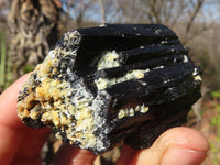Natural Schorl Black Tourmaline Specimens x 6 From Erongo, Namibia