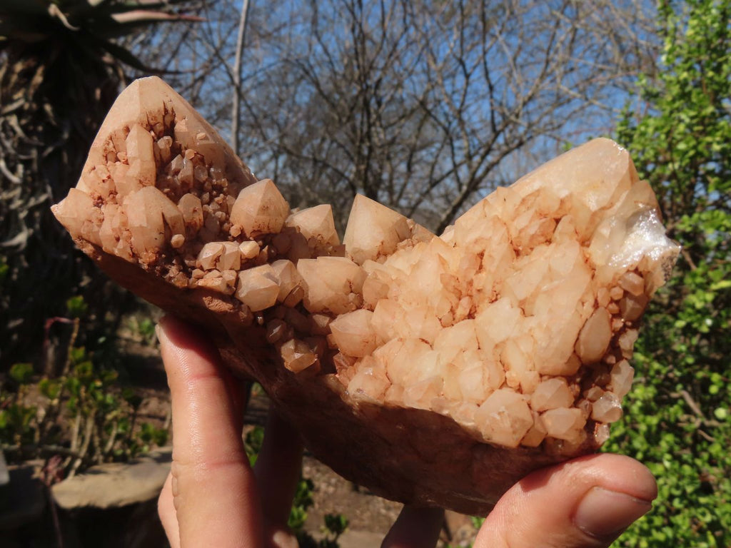 Natural Large Cascading Candle Quartz Specimens  x 2 From Madagascar - Toprock Gemstones and Minerals 
