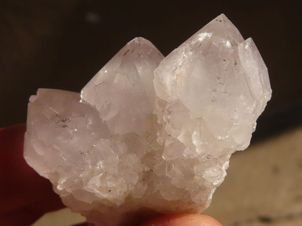 Natural White Cactus Flower Spirit Quartz Specimens x 35 From Boekenhouthoek, South Africa - Toprock Gemstones and Minerals 