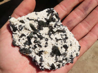 Natural Schorl Black Tourmaline Specimens x 6 From Erongo, Namibia
