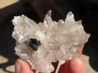 Natural Schorl Black Tourmaline Specimens x 6 From Erongo, Namibia