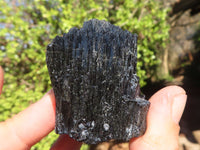 Natural Schorl Black Tourmaline Specimens x 6 From Erongo, Namibia