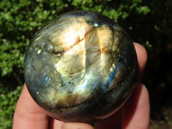 Polished Flashy Blue & Gold Labradorite Spheres  x 6 From Madagascar - Toprock Gemstones and Minerals 