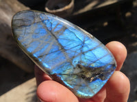 Polished Labradorite Standing Free Forms  x 6 From Tulear, Madagascar - Toprock Gemstones and Minerals 