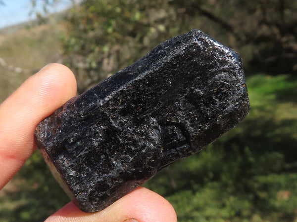 Natural Alluvial Black Tourmaline Crystals (Mostly Double Terminated) x 35 From Karoi, Zimbabwe - TopRock