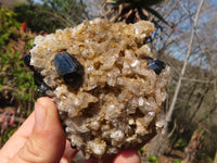Natural Schorl Black Tourmaline Specimens x 6 From Erongo, Namibia