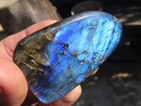 Polished Labradorite Standing Free Forms  x 6 From Tulear, Madagascar - Toprock Gemstones and Minerals 