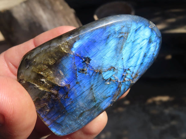 Polished Labradorite Standing Free Forms  x 6 From Tulear, Madagascar - Toprock Gemstones and Minerals 