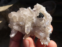 Natural Schorl Black Tourmaline Specimens x 6 From Erongo, Namibia