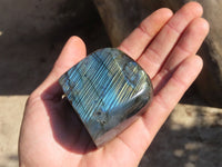 Polished Labradorite Standing Free Forms  x 6 From Tulear, Madagascar - Toprock Gemstones and Minerals 
