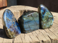Polished Labradorite Standing Free Forms  x 6 From Tulear, Madagascar - Toprock Gemstones and Minerals 