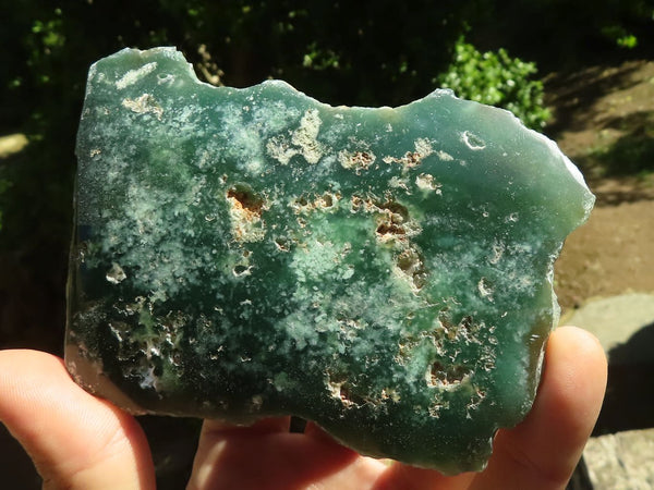 Polished Emerald Mtorolite / Chrome Chrysoprase Plates  x 6 From Zimbabwe - TopRock