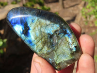 Polished Labradorite Standing Free Forms  x 6 From Tulear, Madagascar - Toprock Gemstones and Minerals 