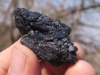Natural Small Black Alluvial Tourmaline / Schorl Crystals  x 63 From Zimbabwe - TopRock