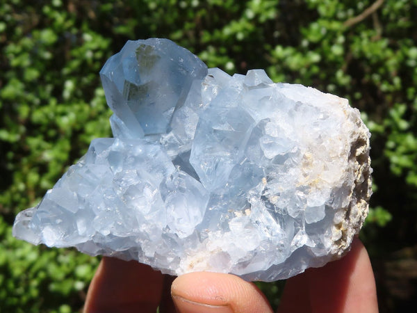 Natural Blue Celestite Crystal specimens  x 5 From Madagascar