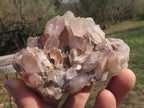 Natural Mixed Selection Of Quartz Clusters x 12 From Mandrosonoro, Madagascar - TopRock