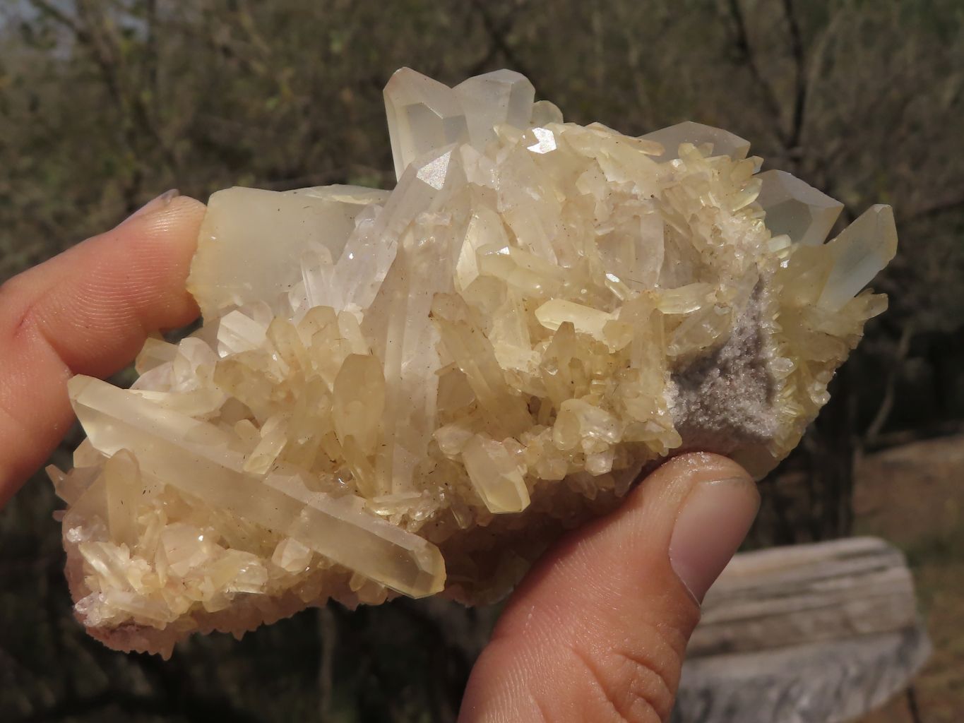 Natural Mixed Selection Of Quartz Clusters x 12 From Mandrosonoro, Madagascar - TopRock
